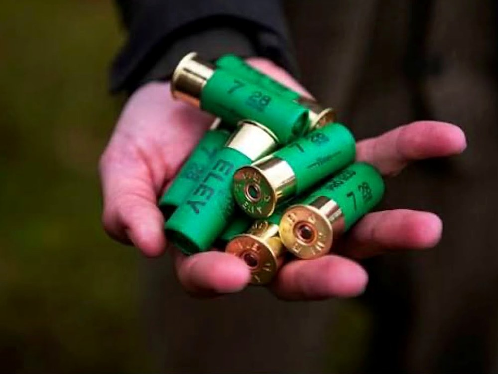 A handful of cartridges
